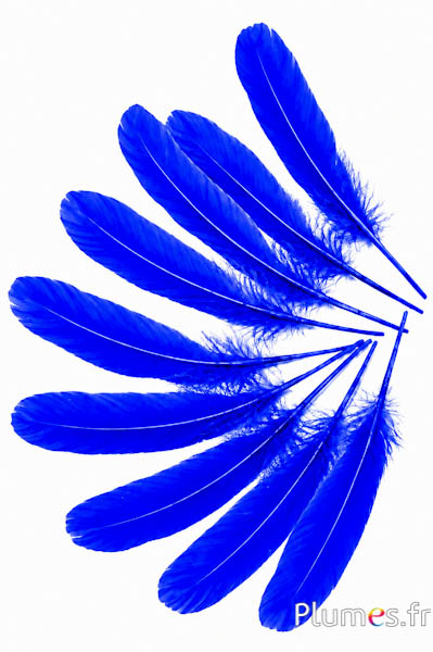 Gans - 15-21 cm - blau